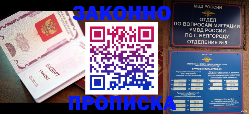 временная регистрация для школы в Палласовке